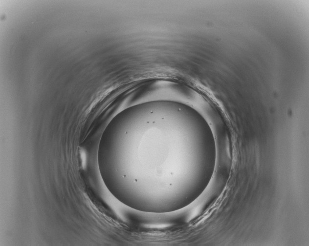 X0000065260154200602211258