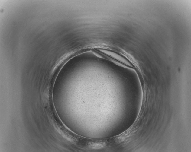 X0000065260155200602211258