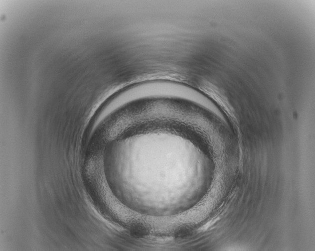 X0000065260156200602211259