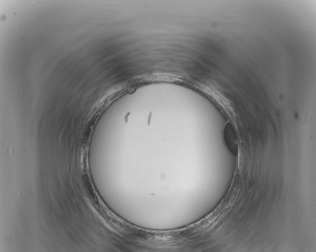 X0000065260157200602211259