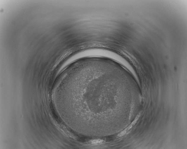 X0000065260158200602211259