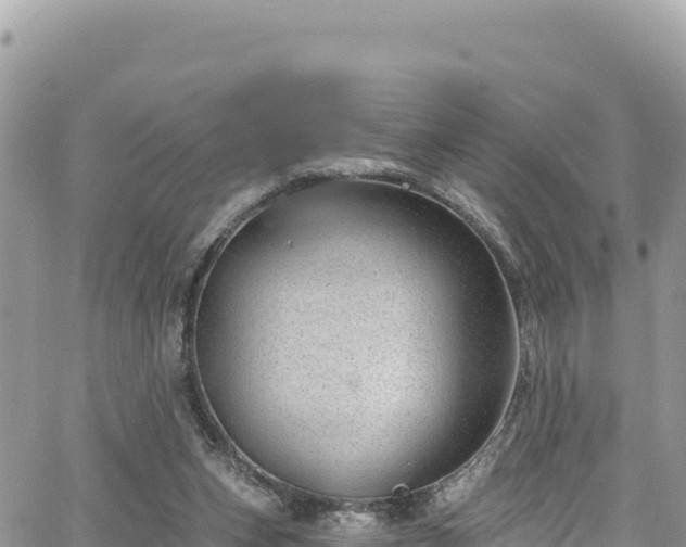 X0000065260159200602211259