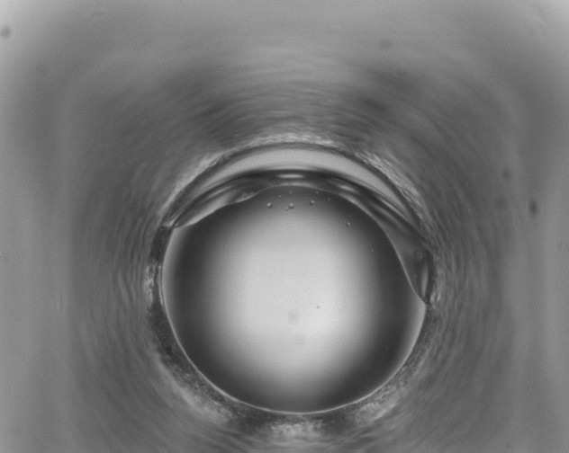 X0000065260160200602211259