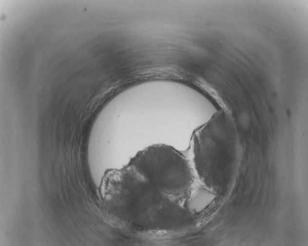 X0000065260161200602211259