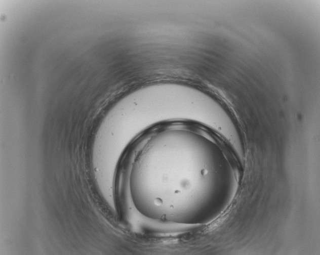 X0000065260162200602211259