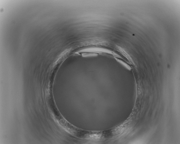 X0000065260163200602211259