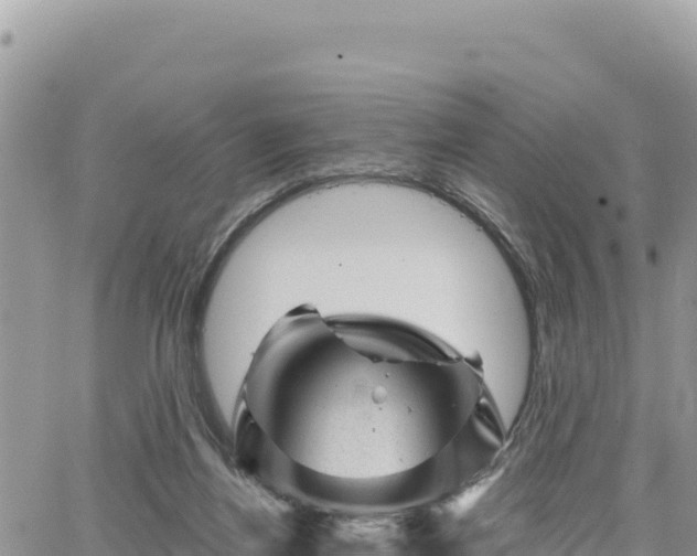 X0000065260164200602211259