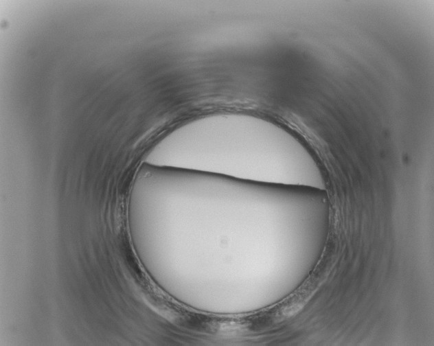 X0000065260165200602211259