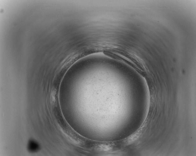 X0000065260166200602211259