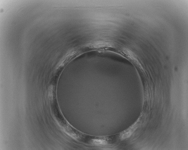 X0000065260167200602211259