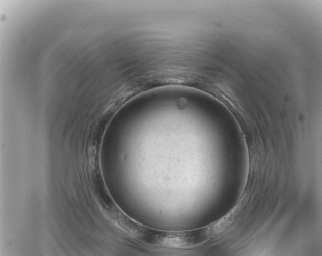 X0000065260171200602211259