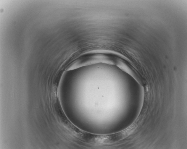 X0000065260172200602211259