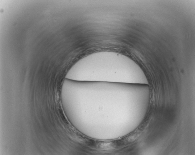 X0000065260173200602211259