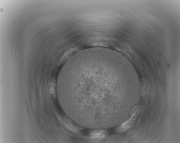 X0000065260175200602211259