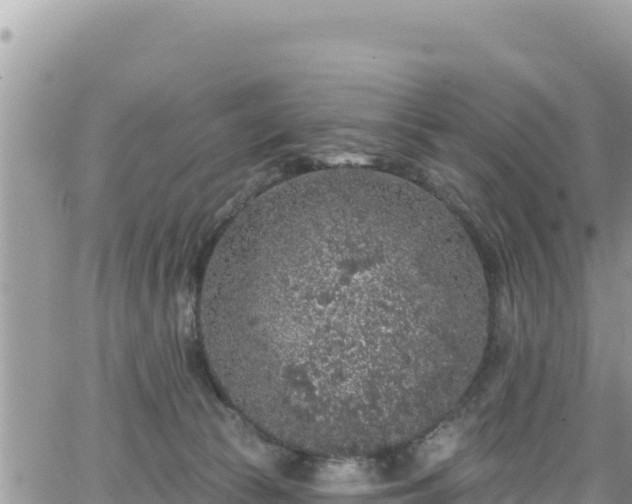 X0000065260177200602211259