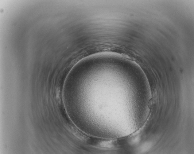 X0000065260178200602211259