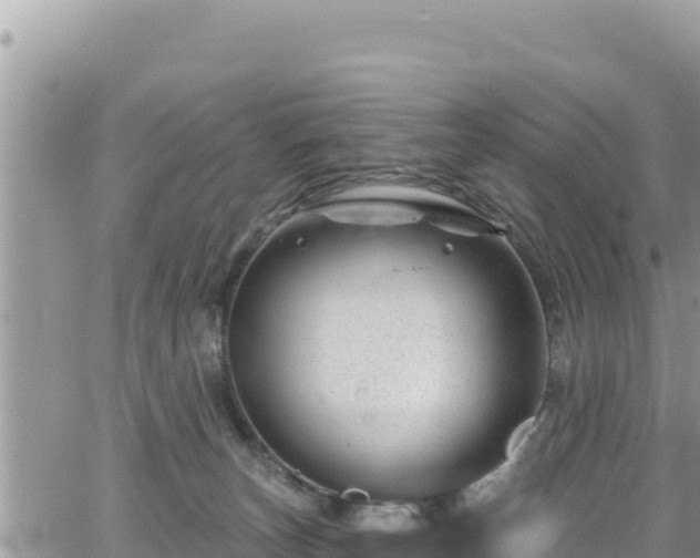 X0000065260179200602211259