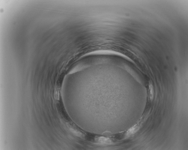 X0000065260180200602211259