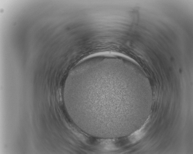 X0000065260182200602211259