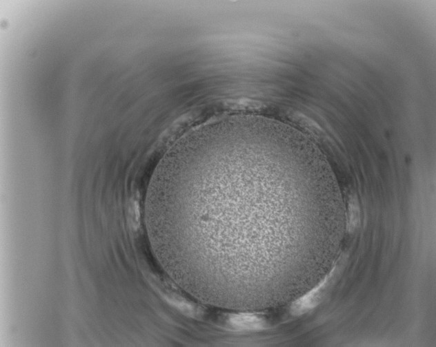 X0000065260183200602211259