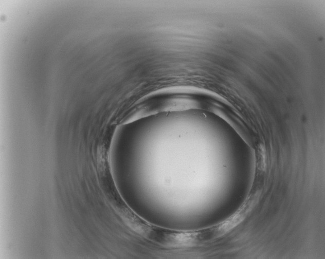 X0000065260184200602211259