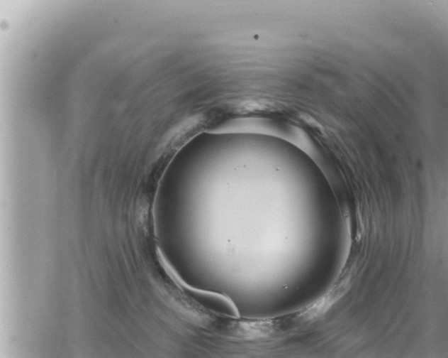 X0000065260188200602211259