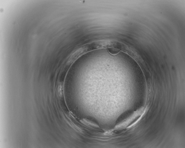 X0000065260191200602211259