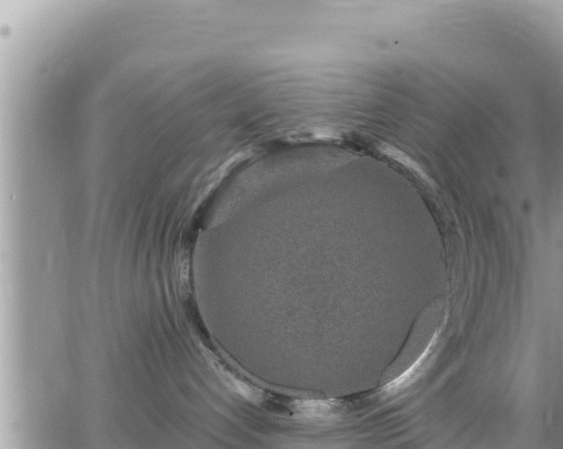 X0000065260192200602211259