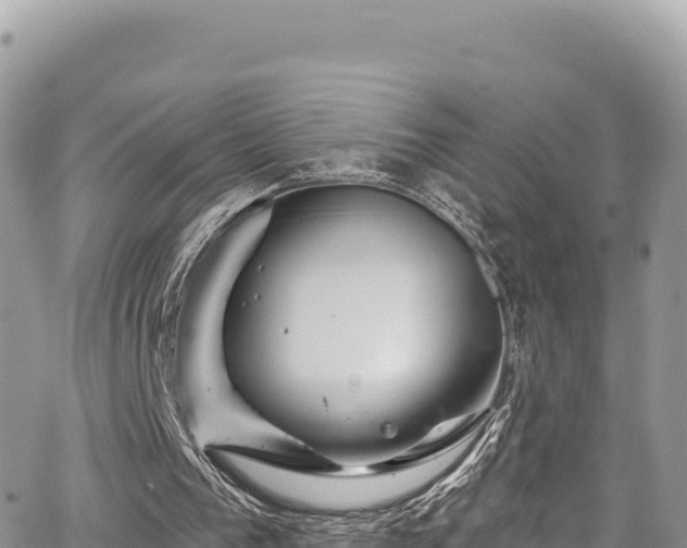 X0000065260193200602211258