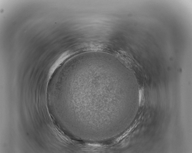 X0000065260195200602211258