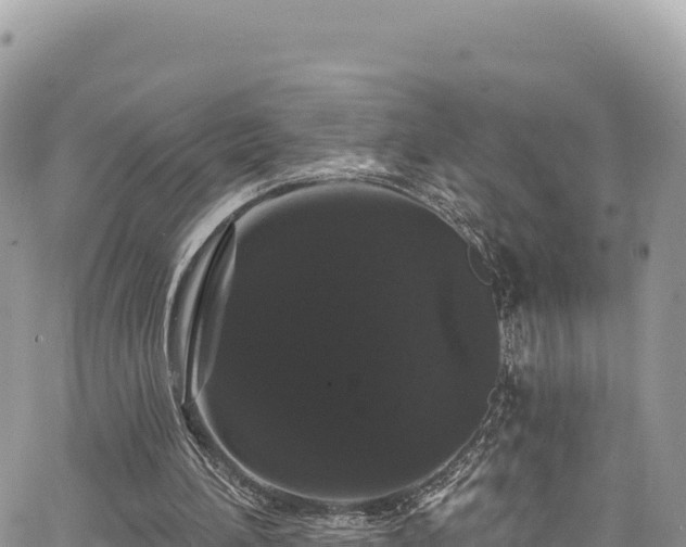 X0000065260196200602211258