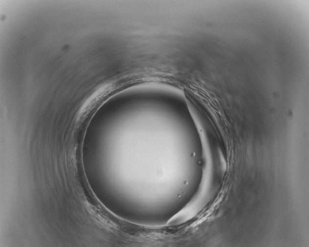 X0000065260197200602211258