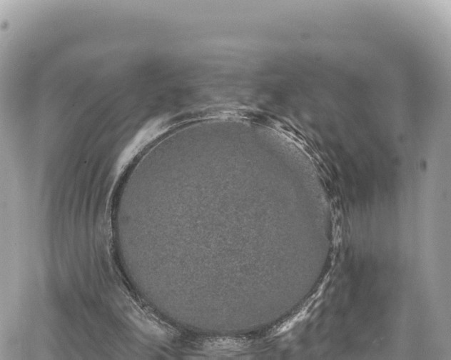 X0000065260198200602211258