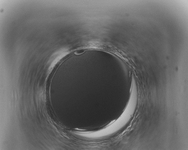 X0000065260200200602211258