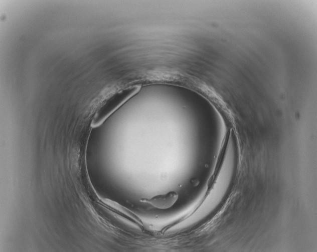 X0000065260201200602211258