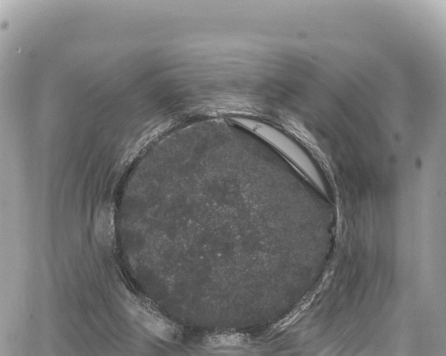 X0000065260202200602211258