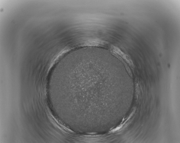 X0000065260203200602211258