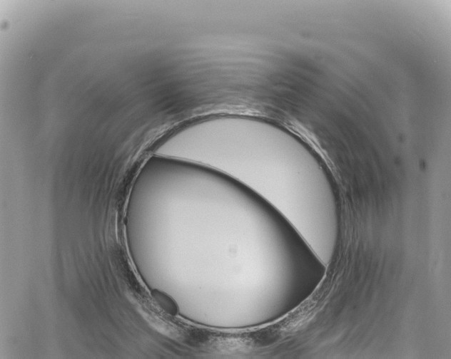 X0000065260205200602211258