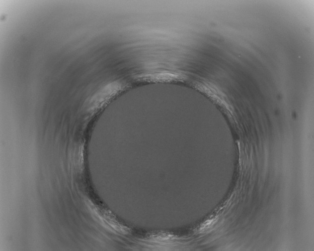 X0000065260206200602211258