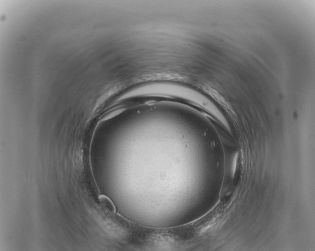 X0000065260207200602211258