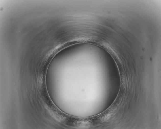 X0000065260208200602211258