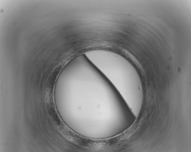 X0000065260209200602211258