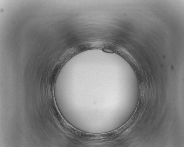 X0000065260213200602211258