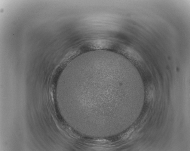 X0000065260214200602211258