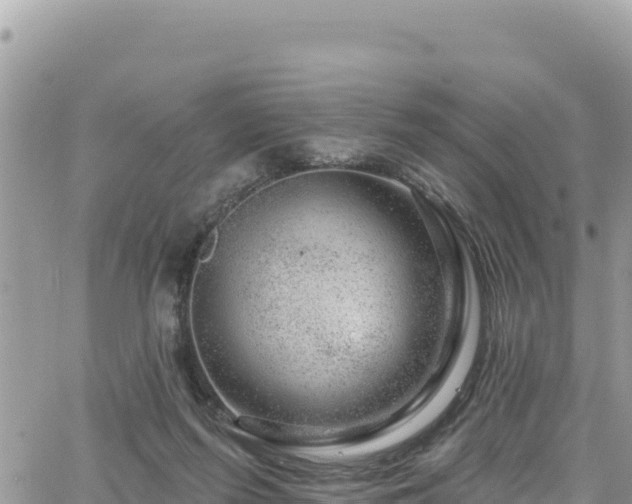 X0000065260215200602211258