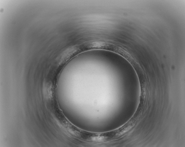 X0000065260216200602211258