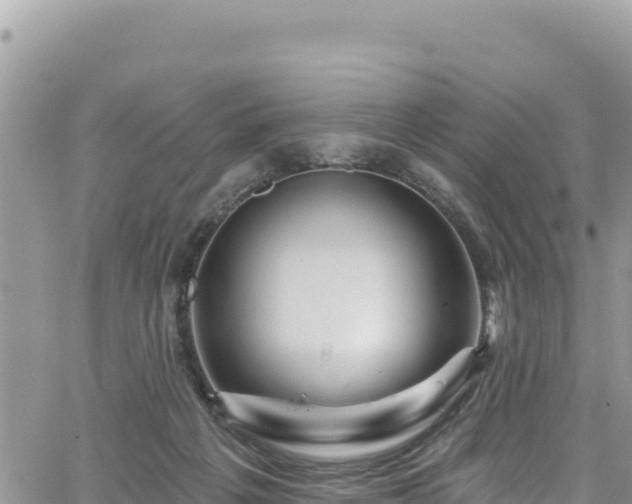 X0000065260217200602211258