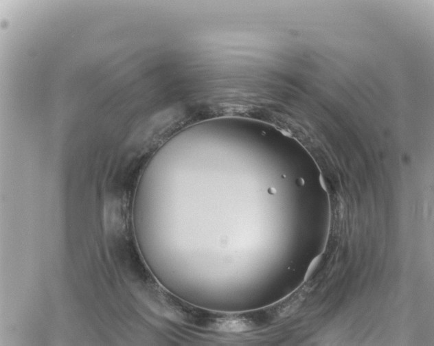 X0000065260218200602211258