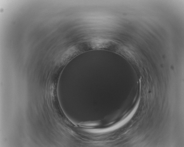 X0000065260219200602211258