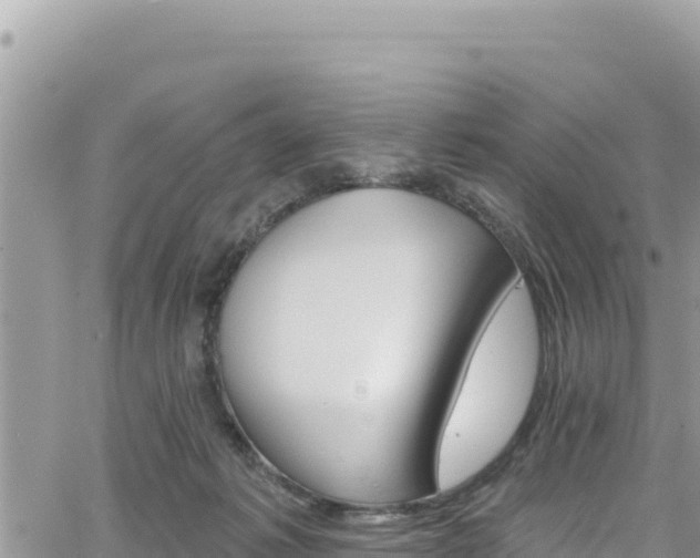 X0000065260221200602211258